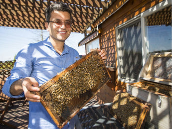 Vancouver Sun: Honey produced at South Surrey farm gathers international awards