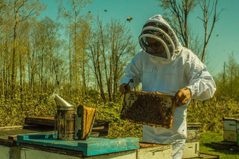 Daily Hive: Vancouver-area honey crowned best in world at international competition