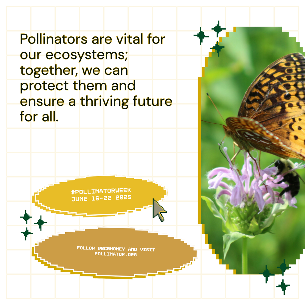 This Year, Pollinator Week Matters More Than Ever – BCB Honey Farm